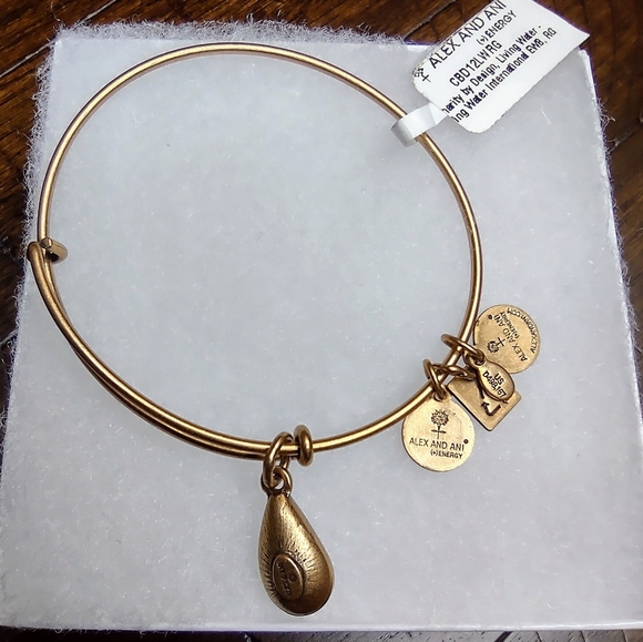 Alex & Ani Energy Bracelet Living Water - Picture 3 of 3